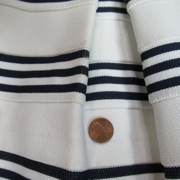 AINA BE Skirt Womensz S Blue White Striped A -Line Structured Stiff Coastal NWT - Picture 3 of 9
